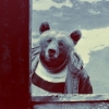 Дядя Миша